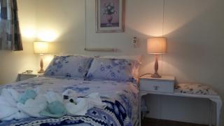 Padthaway Caravan Park - Padthaway - 4