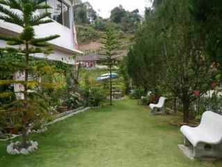 KRS Pines GuestHouse - Cameron Highlands - 1