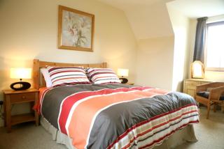 Ardnagashel Woods - 8