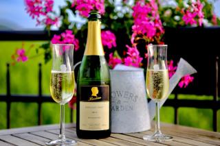 Weingut Bastian - Brauneberg - 9