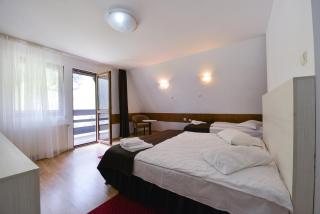 Hotel Paraul Capra - 8