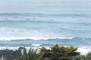 Ocean Tides - Kini Bay - 0
