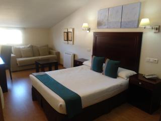 Hotel & Spa PLAZA Arriate - 9