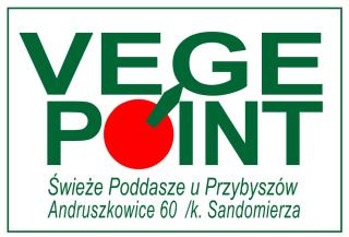 Swieże Poddasze u Przybyszów - Andruszkowice - 0