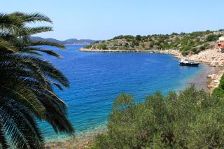 Seaside secluded apartments Lavdara, Dugi otok - 8114 - 8