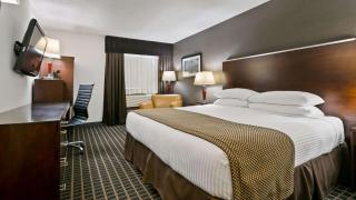 Best Western Airport Inn - Calgary - 4