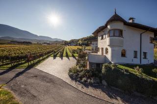 Weingut Donà - Appiano sulla Strada del Vino - 7