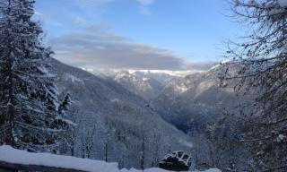 L'Etoile Du Berger - 4