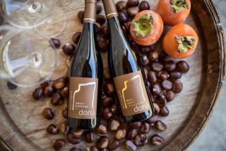 Weingut Donà - Appiano sulla Strada del Vino - 4