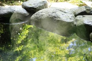Kasuga no Mori - Saku - 1