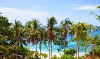 Amun Ini Beach Resort & Spa - Anda - 7