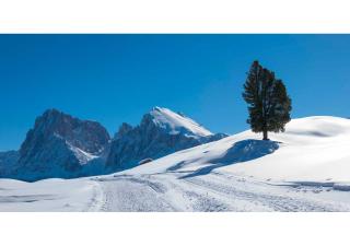 Seiser Alm Plaza - 8