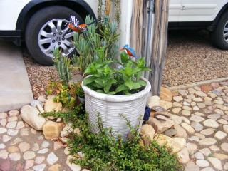 Karoo Chat - Prince Albert - 8