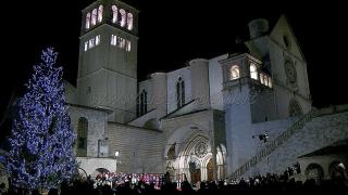 Parcoverdepino - Bastia Umbra - 7