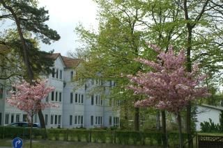 Hotel Strandpavillon - Baabe - 3