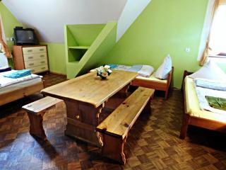 Widok - Cisna - 9