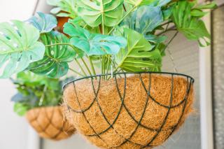 Apartamento Garden Avenue - Porto - 4