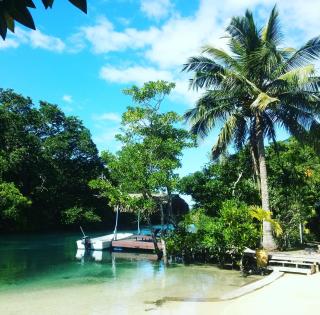 Salt Lake Lodge - Savusavu - 5