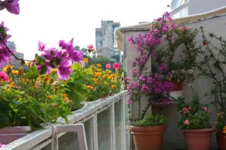Apartments and rooms with parking space Makarska - 6644 - 8
