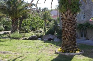 Apartments with a parking space Popovici, Dubrovnik - 8694 - Gruda - 3