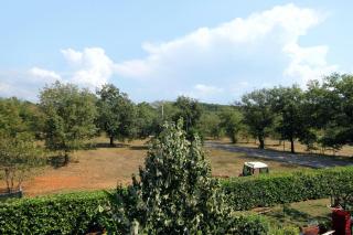 Apartments with a swimming pool Fiorini, Novigrad - 7047 - 3