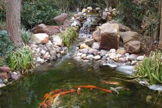 Best Western Dinosaur Valley Inn & Suites - Glen Rose - 6