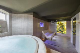 Villa Grohmann - Lipova Lazne - 5