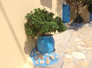 Villa Efraim Amalia - 5