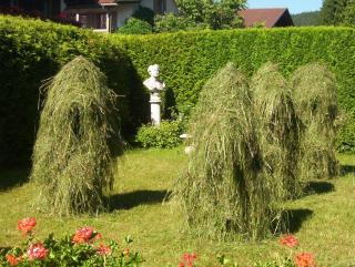 Gasthaus am Zierwald - Grainau - 3