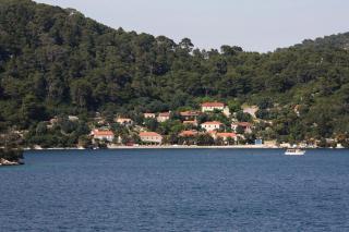 Apartments by the sea Babine Kuce, Mljet - 610 - 5