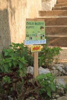Holiday apartments Lastovo - 7790 - 7