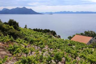 Holiday house with a parking space Dingac - Pristranj, Peljesac - 660 - 9