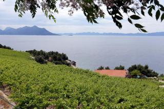Holiday house with a parking space Dingac - Pristranj, Peljesac - 660 - 3
