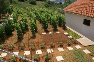 Seaside holiday house Stara Novalja, Pag - 4152 - Novalja - 1