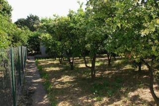 Apartments and rooms with parking space Trpanj, Peljesac - 250 - 5
