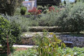 Apartments by the sea Lumbarda, Korcula - 4442 - Lumbarda (Lombarda) - 4