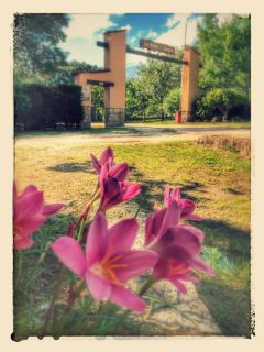 Complejo Camping La Mata - 7