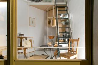 Passer Domesticus - 0