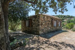 Les jardins de Foata - Barbaggio - 2