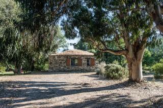 Les jardins de Foata - Barbaggio - 3
