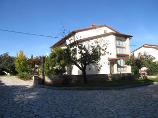 Villa Valentina - Ližnjan - 6