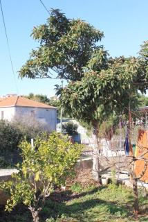 Apartments by the sea Slatine, Ciovo - 7544 - 2