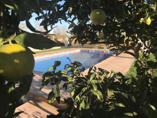 Casa rural "La Pageseta" - Sant Jaume d'Enveja - 1