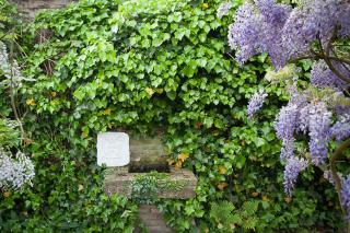 B&B 7de Hemel - 7