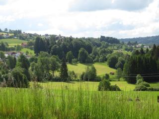 Ferienwohnungen Haus Panorama - Neuschönau - 6