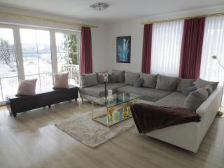 Ferienwohnungen Haus Panorama - Neuschönau - 4