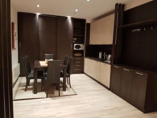 Lux Studio 45 in Fortuna - Bansko - 4