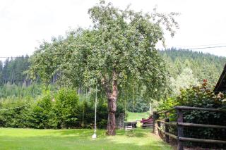Apartman Sverana - Velké Karlovice - 4