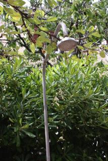 Apartments with parking space Kampor, Rab - 4984 - Rab (Arbe) - 6