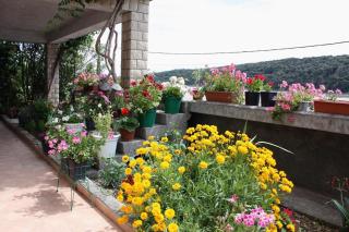 Apartments with parking space Kampor, Rab - 4984 - Rab (Arbe) - 5